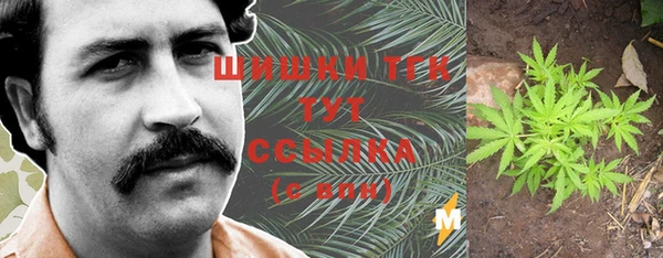 ешки Алзамай