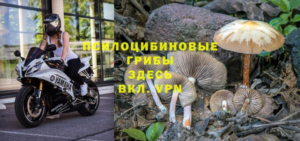 меф Алексин